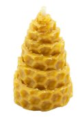 Świeca woskowa „Jodła” 5 cm