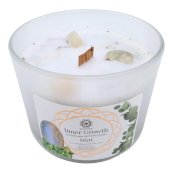 Świeca Green Tree „Inner Growth” Moonstone + Mint 256g