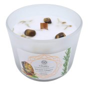 Świeca Green Tree 'Vitalité' Tygrysie Oko + Słodki Imbir 256g