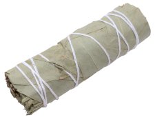 Pęczek eukaliptusa 30g 10cm
