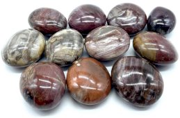 Kamyczki Fossil Wood 'A' walcowane 1 kg