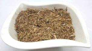 Millefeuille Cut Plant 100g