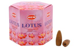 Stożki zwrotne Lotus HEM 12 szt.