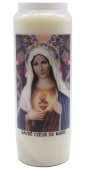 Nowenna do Najświętszego Serca Maryi