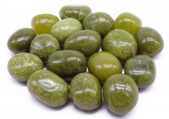 Jaszczurka Serpentine 'A' rolowana 200g