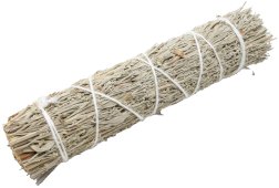 Wiązka szałwii kalifornijskiej niebieskiej 15 cm