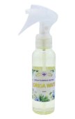 Spray Agua Florida perfumy Florida Water 100 ml